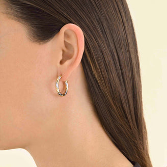 Duotone Swirl Hoops leftcolumn